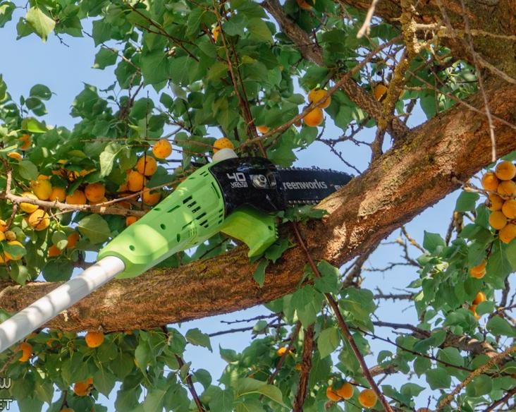 Когда длина имеет значение: обзор высотореза greenworks g40psf / Инструменты и запчасти / iXBT Live